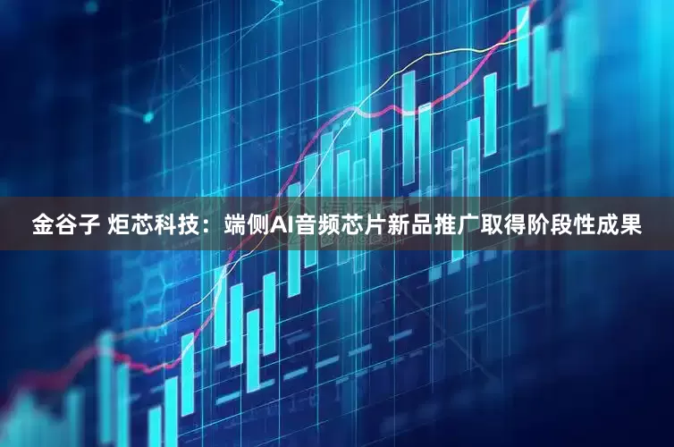 金谷子 炬芯科技：端侧AI音频芯片新品推广取得阶段性成果