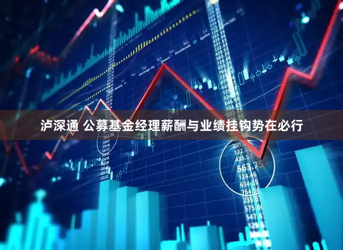 泸深通 公募基金经理薪酬与业绩挂钩势在必行