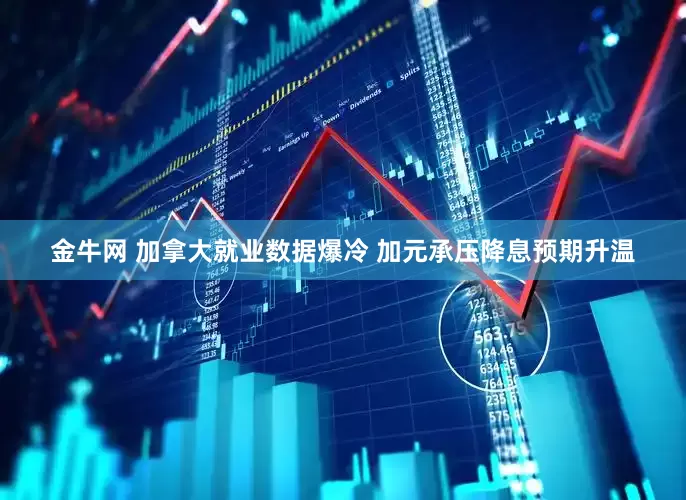 金牛网 加拿大就业数据爆冷 加元承压降息预期升温