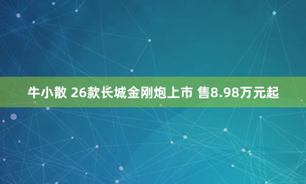 牛小散 26款长城金刚炮上市 售8.98万元起
